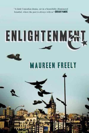 Cover of the book Enlightenment by Matthew Qvortrup