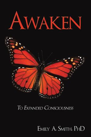 Cover of the book Awaken by Martin Sicker