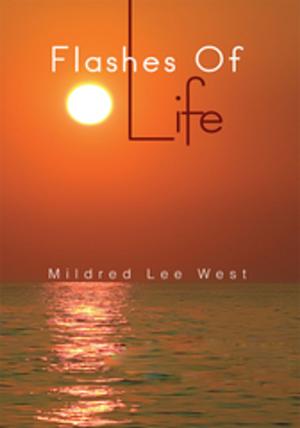 Cover of the book Flashes of Life by Mary Heyn