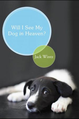 Cover of Will I See My Dog in Heaven?