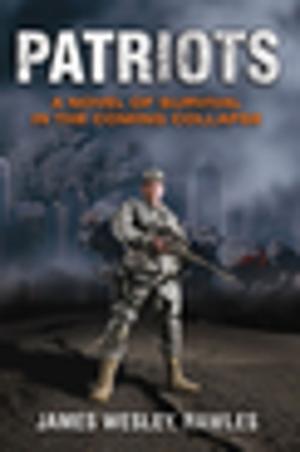 Cover of the book Patriots by Kris Holechek Peters