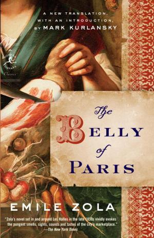 Cover of the book The Belly of Paris by James Joyce