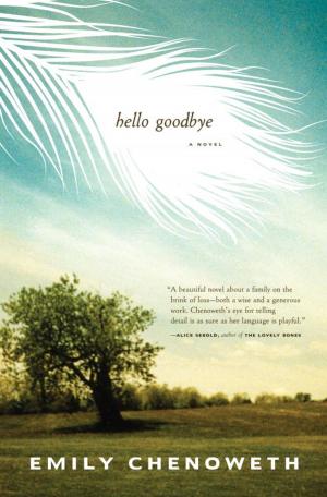Cover of the book Hello Goodbye by Matthew Stover