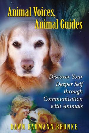Cover of Animal Voices, Animal Guides