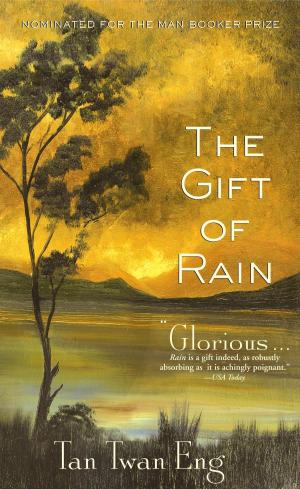 Cover of the book The Gift of Rain by Elizabeth Singer Hunt