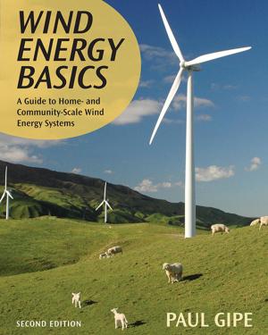 Cover of the book Wind Energy Basics by Keith Woodford