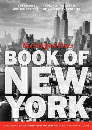 Book cover of New York Times Book of New York