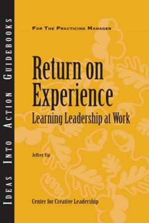 Cover of the book Return on Experience: Learning Leadership at Work by Naude', Plessier