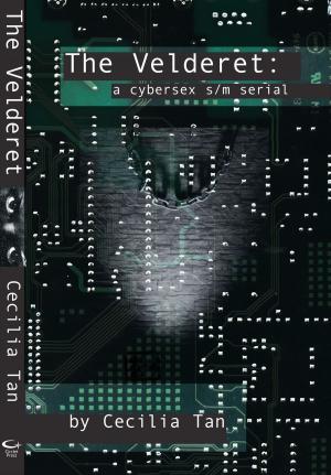 Book cover of The Velderet