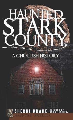 Cover of the book Haunted Stark County by Tammy Durston, Steve Oliff