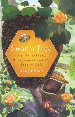 Cover of the book Swarm Tree by Barbara G. Louie