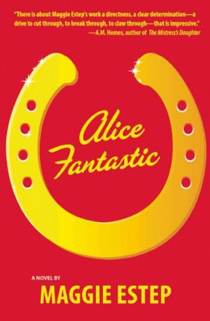 Cover of the book Alice Fantastic by Ian F. Svenonius