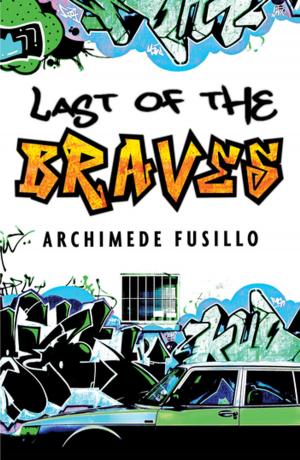 Book cover of The Last of the Braves