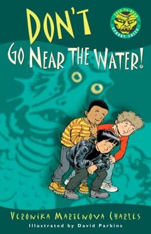 Cover of the book Don't Go Near the Water! by Dan Bar-el