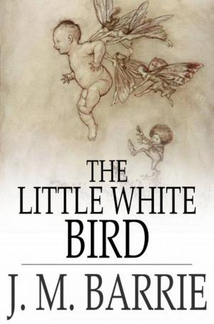 Cover of the book The Little White Bird by William Dean Howells