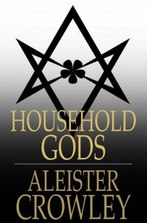 Cover of the book Household Gods by Ted Ringer
