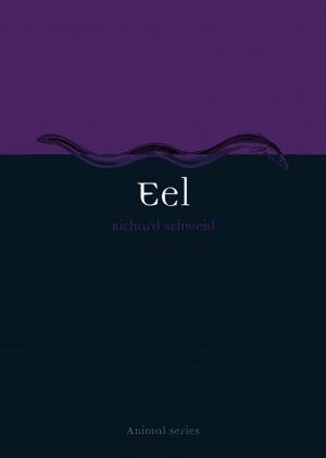 Book cover of Eel
