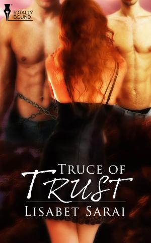 Cover of the book Truce of Trust by Em Woods, Silvia Violet, Haven Fellows