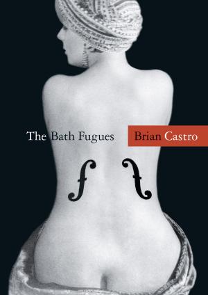 Cover of the book The Bath Fugues by Vanessa Berry