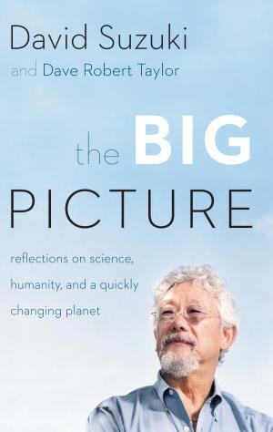 Cover of the book The Big Picture by Lynne Bowen