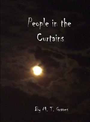 Book cover of People In The Curtains