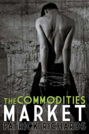 bigCover of the book The Commodities Market by 