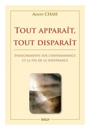 Cover of the book Tout apparaît, tout disparaît by Pierre  Crepon