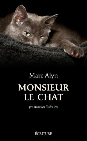 Cover of the book Monsieur le chat by Olivier Cojan