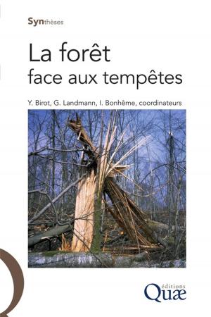 Cover of the book La forêt face aux tempêtes by Michel Jacquot, Serge Hamon, Dominique Nicolas, André Charrier