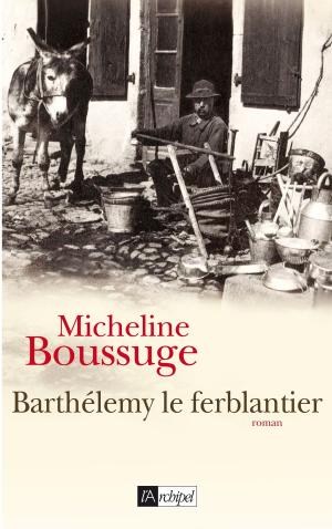 Cover of the book Barthélémy le ferblantier by Marie-Ange Laroche