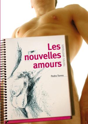 Cover of the book Les nouvelles amours by Abigaël