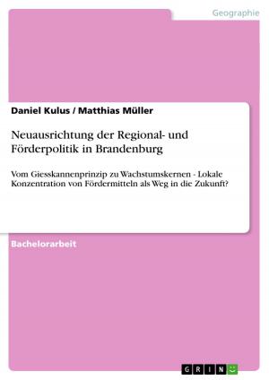 Cover of the book Neuausrichtung der Regional- und Förderpolitik in Brandenburg by David Frank