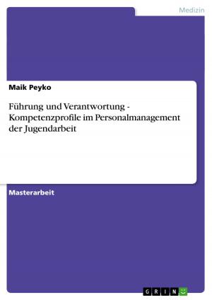 Cover of the book Führung und Verantwortung - Kompetenzprofile im Personalmanagement der Jugendarbeit by Frank Stüdemann