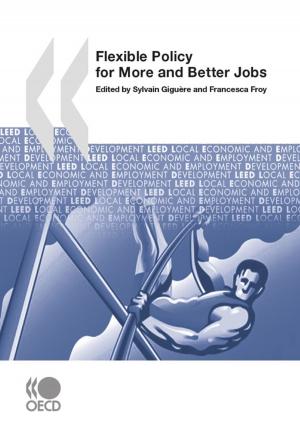 Book cover of Flexible Policy for More and Better Jobs