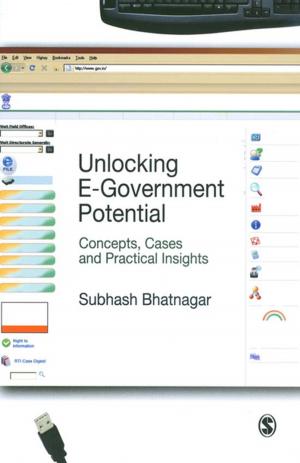 Cover of the book Unlocking E-Government Potential by David R. Hutchinson