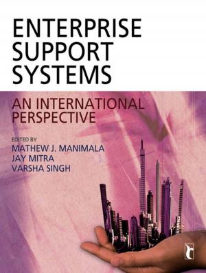 Cover of the book Enterprise Support Systems by Dr. Uwe Flick