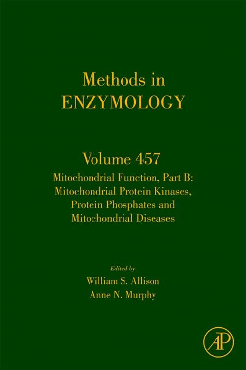 Cover of the book Mitochondrial Function, Part B by William S. Allison, Anne Murphy, Elsevier Science
