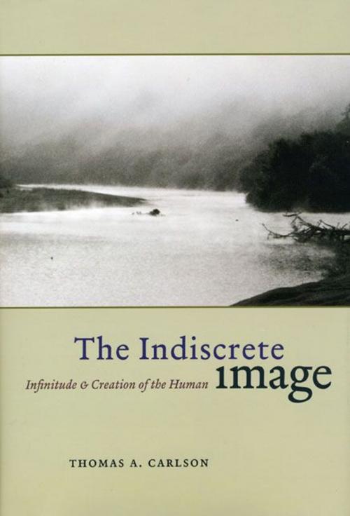 Cover of the book The Indiscrete Image by Thomas A. Carlson, University of Chicago Press