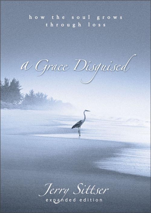 Cover of the book A Grace Disguised by Jerry L. Sittser, Zondervan