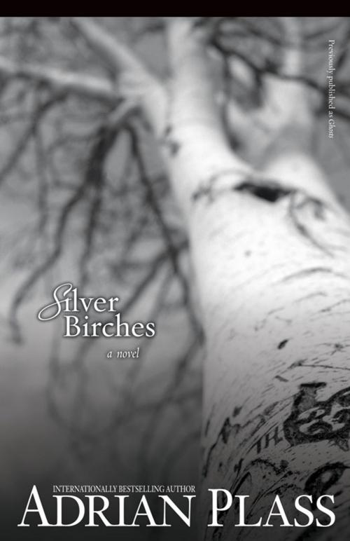 Cover of the book Silver Birches by Adrian Plass, Zondervan