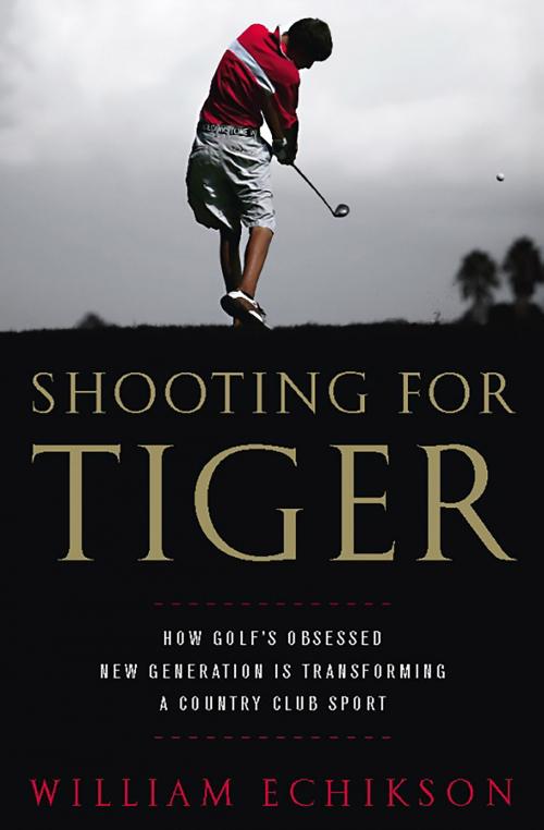 Cover of the book Shooting for Tiger by William Echikson, PublicAffairs