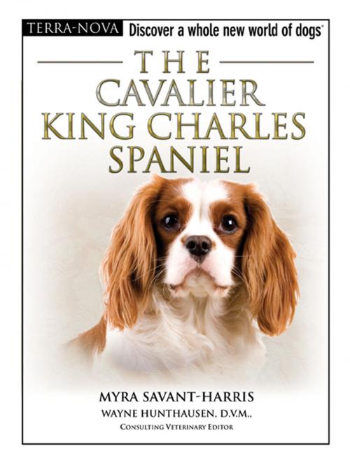 Cover of the book The Cavalier King Charles Spaniel by Myra Savant-Harris, TFH Publications, Inc.