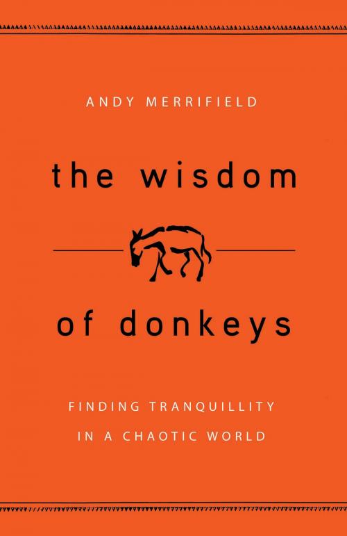 Cover of the book The Wisdom of Donkeys by Andy Merrifield, Bloomsbury Publishing