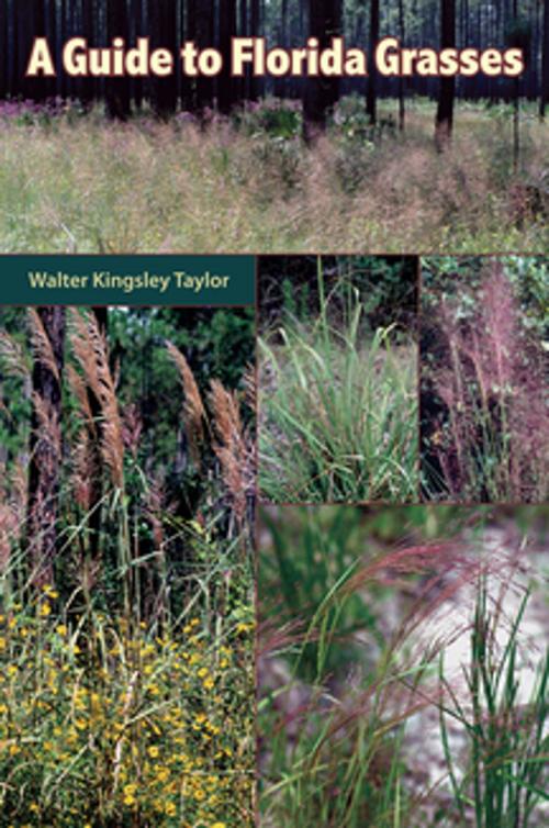 Cover of the book A Guide to Florida Grasses by Walter Kingsley Taylor, University Press of Florida