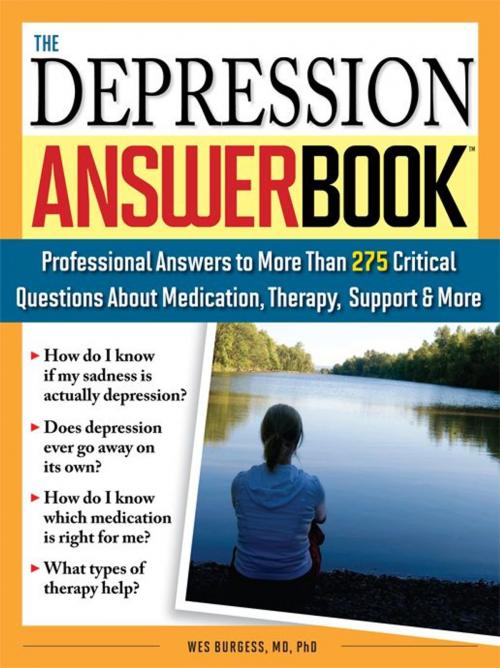 Cover of the book Depression Answer Book by Wes Burgess, , Sourcebooks