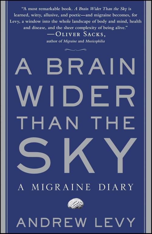 Cover of the book A Brain Wider Than the Sky by Andrew Levy, Simon & Schuster