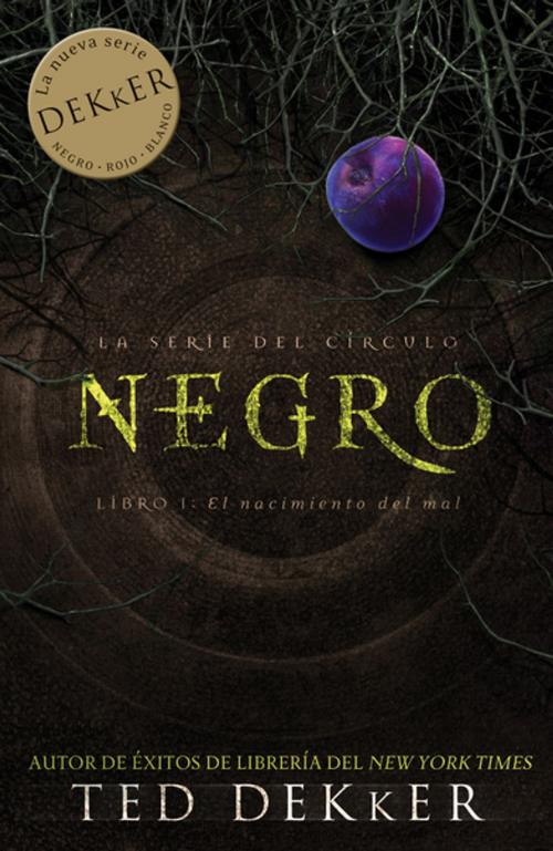 Cover of the book Negro by Ted Dekker, Grupo Nelson