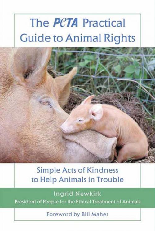 Cover of the book The PETA Practical Guide to Animal Rights by Ingrid Newkirk, St. Martin's Press