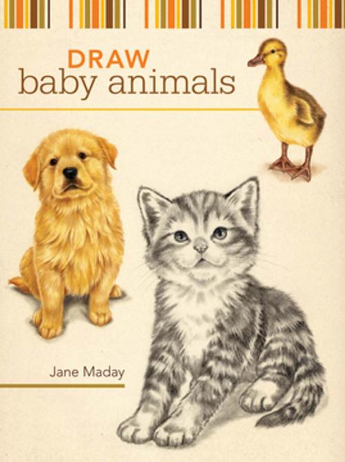Cover of the book Draw Baby Animals by Jane Maday, F+W Media