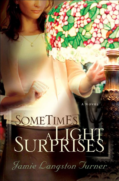 Cover of the book Sometimes a Light Surprises by Jamie Langston Turner, Baker Publishing Group